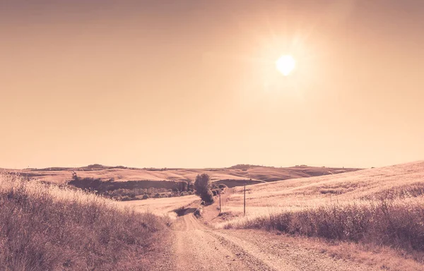 Warm Tone Tuscan Summer Landscape Rural Scenery — Stock Photo, Image