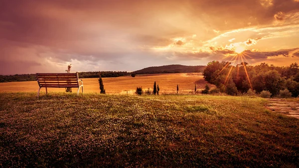 Beautiful Sunset Landscape Lonely Bench Foreground — Stock Photo, Image