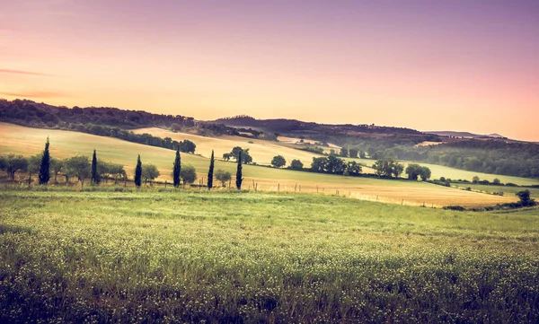 Geweldige Toscaanse Landschap Bij Zonsopgang Landelijke Omgeving Buurt Van Pienza — Stockfoto