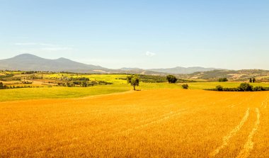 Pienza Kent yakınındaki yaz Toskana sahne