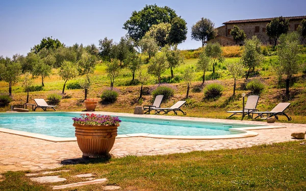 Piscina Entre Olivos Toscana — Foto de Stock