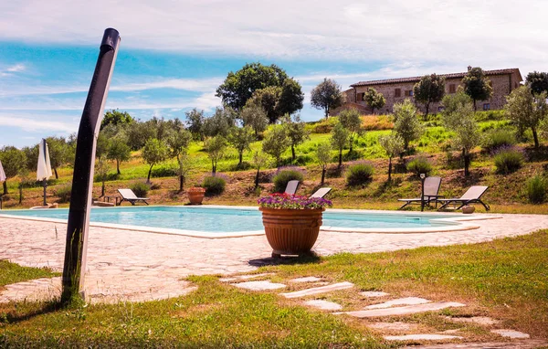 Piscina Entre Olivos Toscana — Foto de Stock