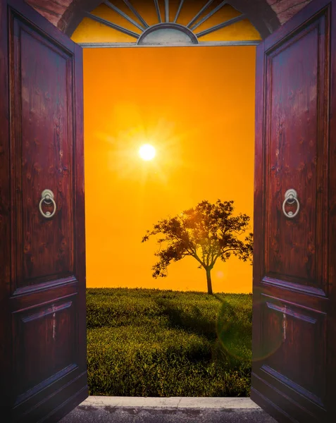 Old Open Door Sunset Landscape Lonely Tree — Stock Photo, Image