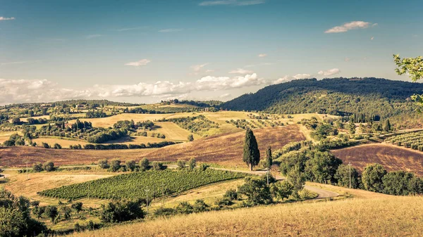 Landschaft Der Toskanischen Hügel Italien — Stockfoto