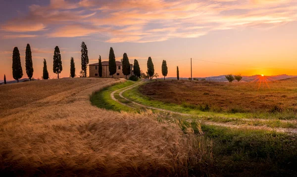 Toscaanse Zonsopgang Landschap Met Boerderij Cipres Bomen — Stockfoto