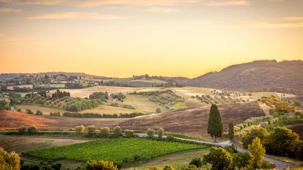 Wunderschöne Landschaft Der Toskana Bei Sonnenaufgang — Stockfoto