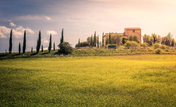 Italienisches Landhaus Auf Einem Grünen Hügel Der Toskana — Stockfoto