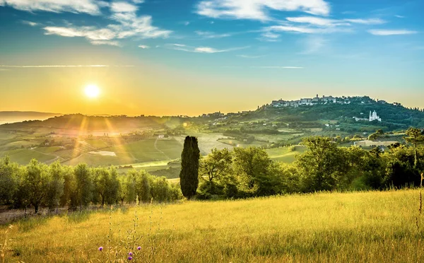 Felder Der Toskana Und Historische Stadt Montepulciano Hintergrund — Stockfoto
