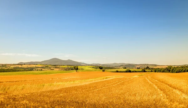 Sommaren Toskanska Landskapet Nära Pienza Stockbild