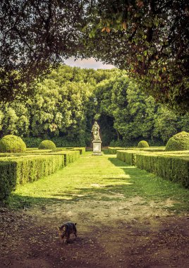 The Leonini Gardens in San Quirico d'Orcia, Tuscany clipart