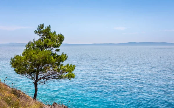 Medelhavet Seascape Nära Makarska Village Kroatien — Stockfoto