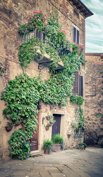 Wunderschöne Straße Von Faszinierendem Montisi Dorf Der Toskana Italien — Stockfoto