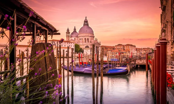Santa Maria Della Salute Kathedrale Bei Sonnenaufgang Venedig — Stockfoto