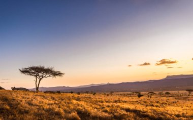 Savannah ovalar Tsavo Doğu Milli Parkı, Kenya, şaşırtıcı günbatımı