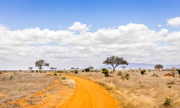 Amazing Savana Planícies Paisagem Safári Estrada Quênia — Fotografia de Stock