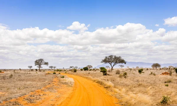 Şaşırtıcı Savannah Ovaları Peyzaj Safari Yol Kenya — Stok fotoğraf