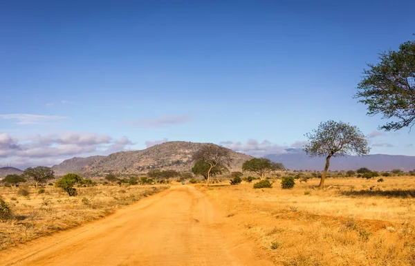 Fantastiska Savannah Slätter Landskap Och Safari Road Kenya — Stockfoto