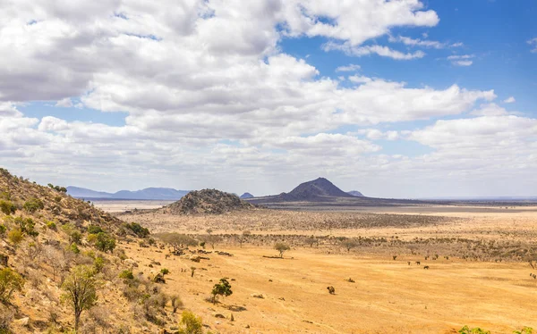 Savannah plains landscape in Kenya — Stock Photo, Image