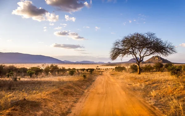 Safari road in Quênia — Fotografia de Stock