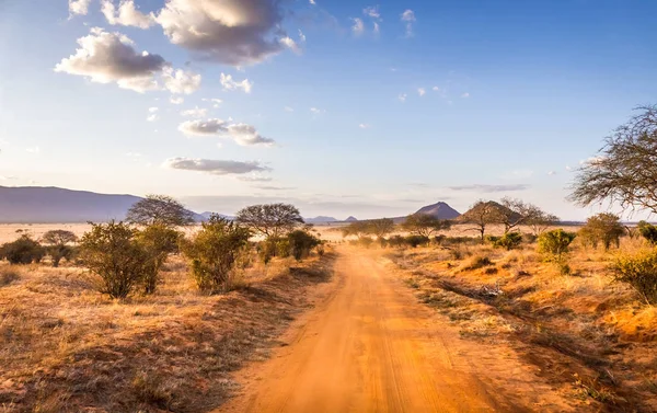 Kenya Safari yol — Stok fotoğraf