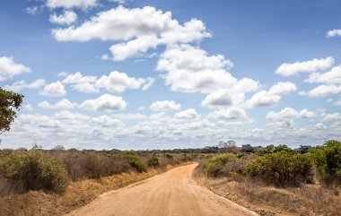 Kenya Safari yol