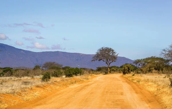 Safaristraße in Kenia — Stockfoto