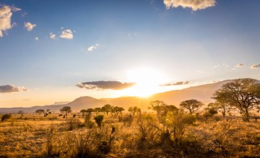 Savannah Plains 'de günbatımı