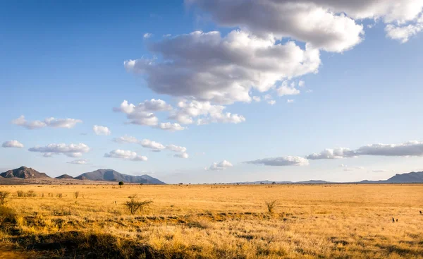 Savannah ovaları manzara Kenya — Stok fotoğraf