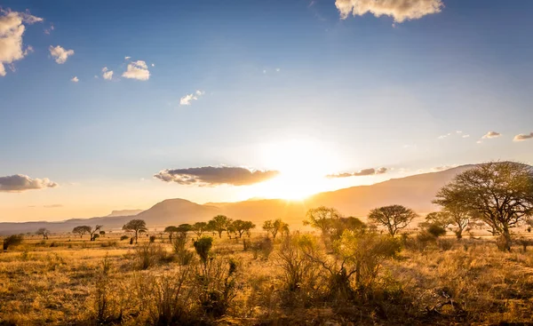 Tramonto nelle pianure della savana — Foto Stock