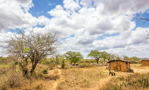 Afrikanska masai byn — Stockfoto