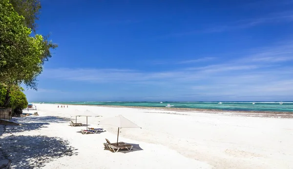 Incredibile spiaggia di Diani mare, Kenya Immagini Stock Royalty Free