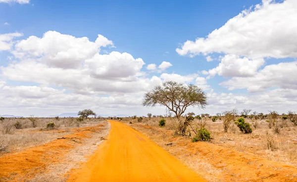 Safari road i Kenya — Stockfoto