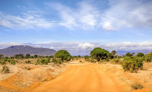 Safari road i Kenya — Stockfoto