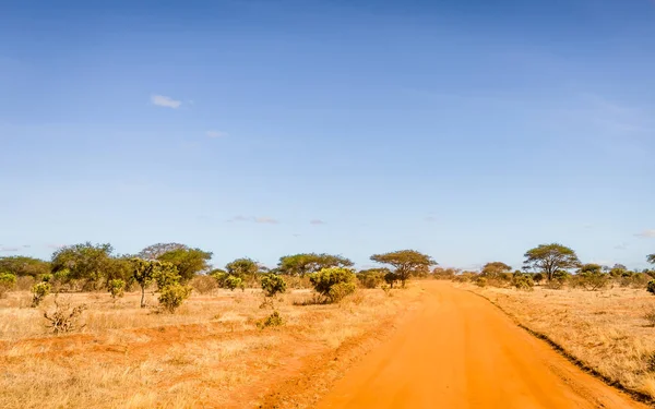 Kenya Safari yol — Stok fotoğraf