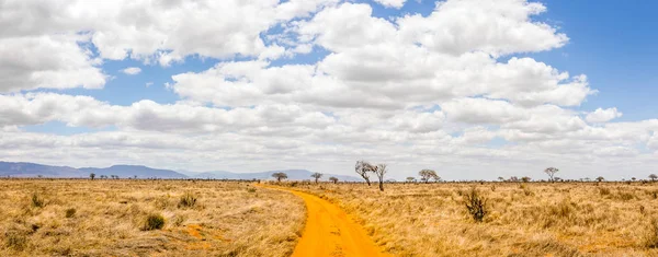 Kenya Safari yol — Stok fotoğraf