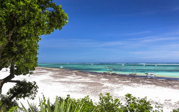 Amazing Diani beach seascape, Kenya — Stock Photo, Image