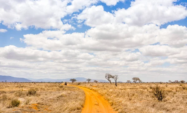 Дорога сафарі в Кенії — стокове фото