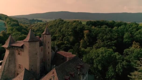 州のワインヤードフィールドの風景の緑の丘の上に古代中世の城の素晴らしい4K空中ドローンパノラマビュー — ストック動画