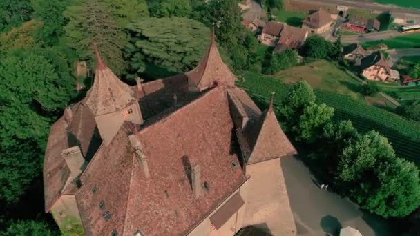 州のワインヤードフィールドの風景の緑の丘の古代中世の城の信じられないほどの4K空中ドローンパノラマビュー — ストック動画