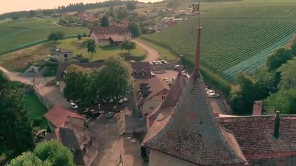 Mooie Luchtfoto Drone Panorama Uitzicht Oude Middeleeuwse Kasteel Groene Heuvel — Stockvideo