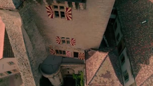 州のワインヤードフィールドの風景の緑の丘の古代中世の城の優れた4K空中ドローンパノラマビュー — ストック動画