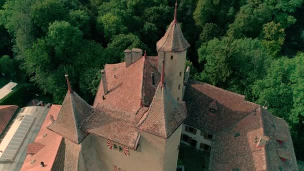 Incroyable Vue Panoramique Drone Aérien Sur Ancien Château Médiéval Sur — Video