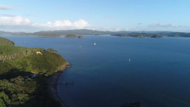 Impresionante Vista Aérea Drones Isla Tropical Montaña Bosque Grande Medio — Vídeos de Stock