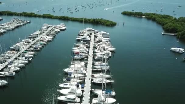 Yat Limanı Okyanus Cityscape Güneşli Tropikal Büyük Şehir Şehir Lüks — Stok video