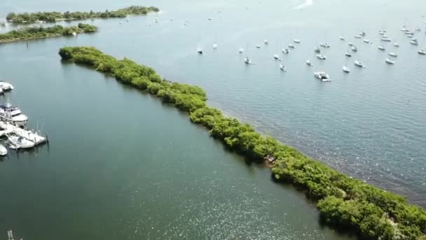 Maravillosa Vista Panorámica Aérea Drone Lujoso Puerto Puerto Yates Deportivos — Vídeos de Stock