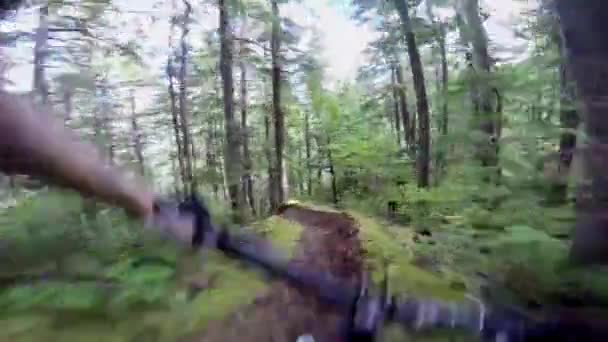 Incredible First Person Point View Pov Professional Biker Riding Mtb — Stock Video