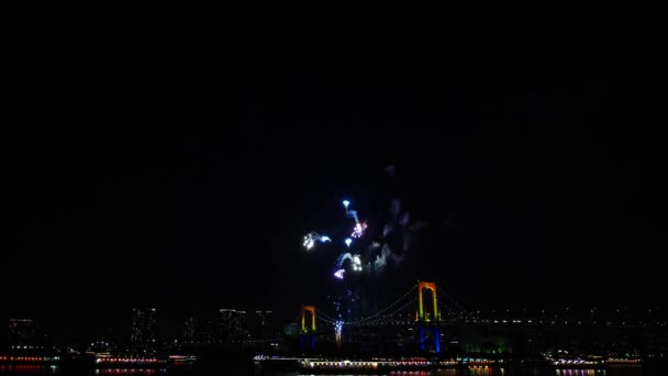 Increíble Explosión Fuegos Artificiales Colores Brillantes Cielo Nocturno Oscuro Sobre — Vídeos de Stock