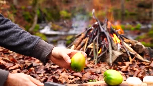 男の手は森林キャンプ火災の背景に木製ボード上の野菜コショウキノコをカット大きな調理斧ナイフを取り出します — ストック動画