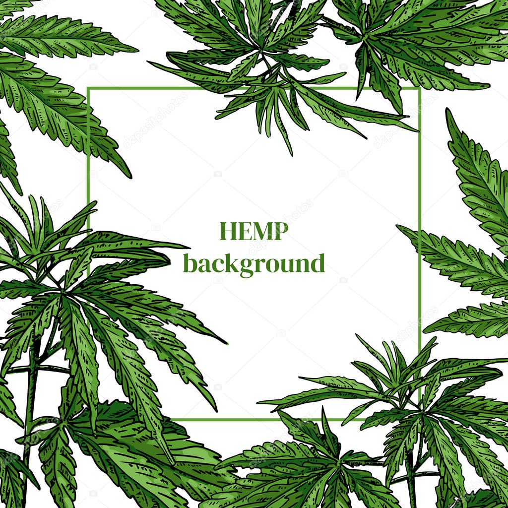 Hand drawn colorful hemp plant. Cannabis background. Free space for text.