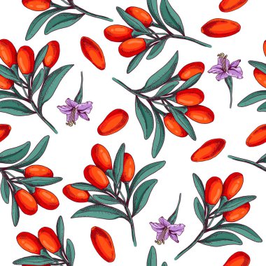 El yapımı goji üzümleri. Beyaz arkaplanda izole edilmiş retro biçiminde vektör illüstrasyonu. Vektörsüz desen.